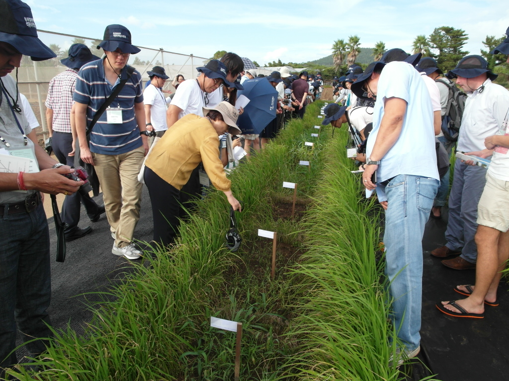 제6회 국제도열병 학회