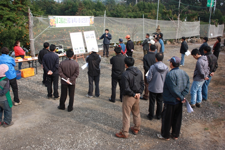 시범사업평가회