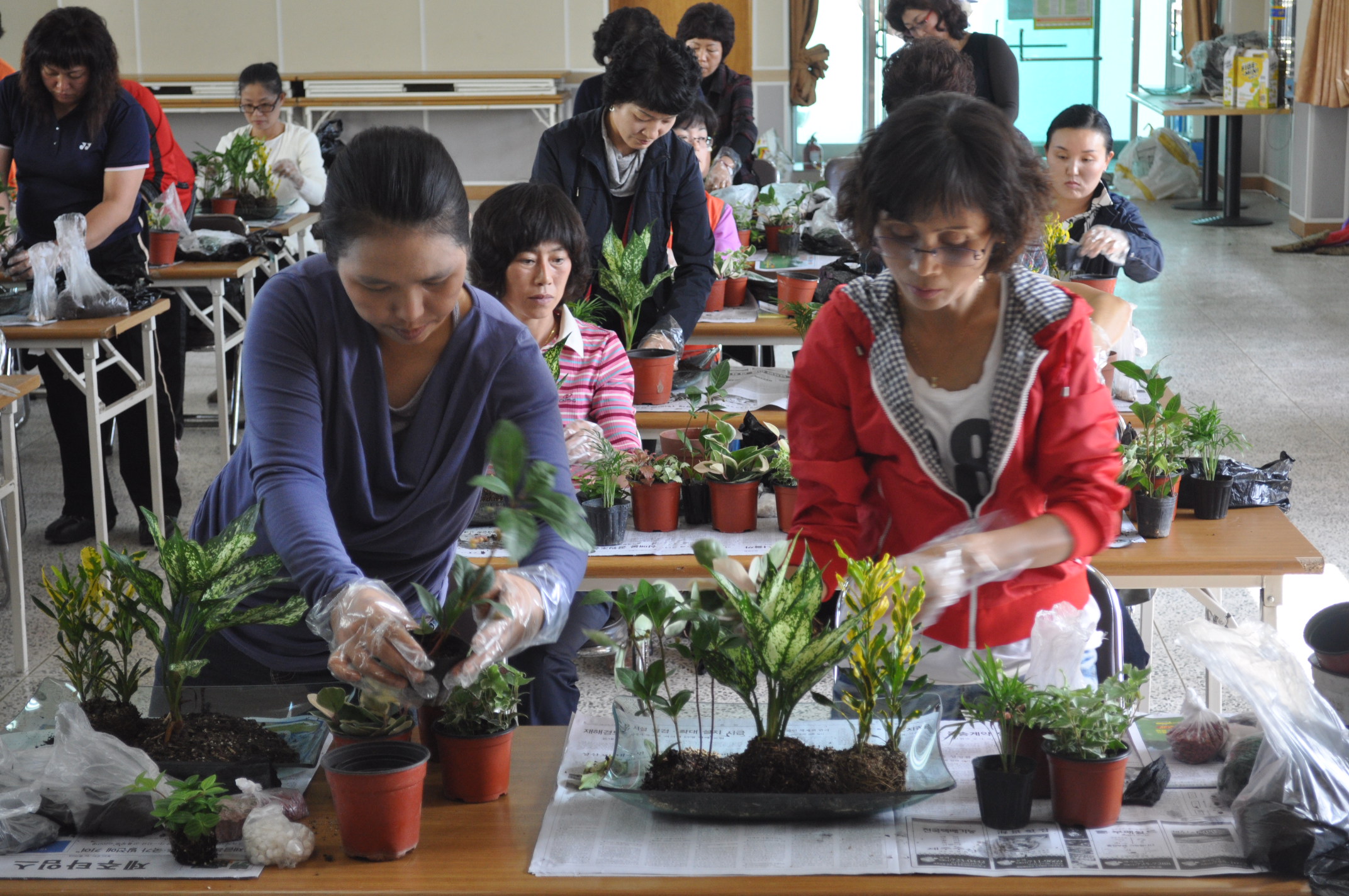 생활원예 생활화 교육(2010.10.25)