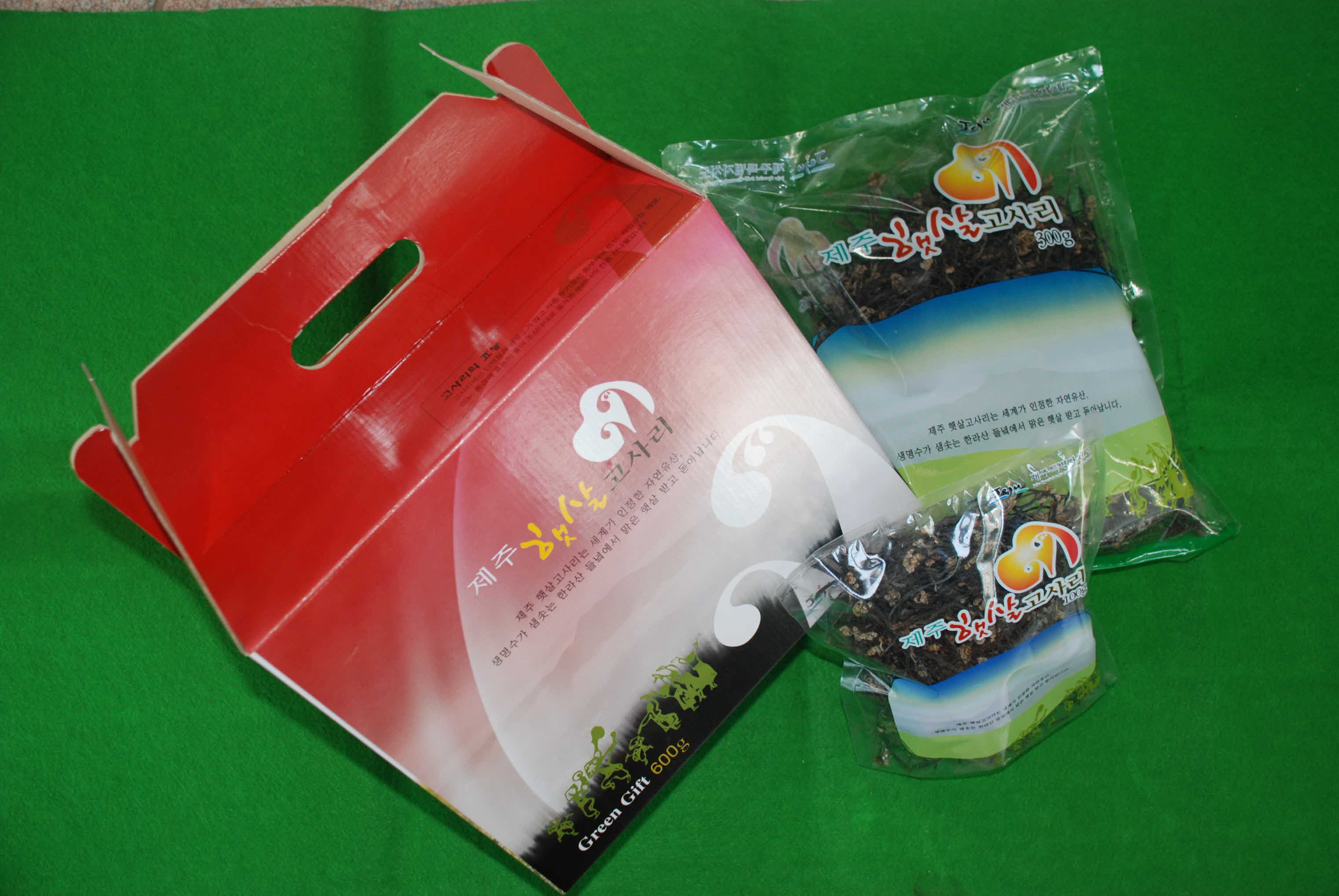 동부지역 -제주햇살고사리-