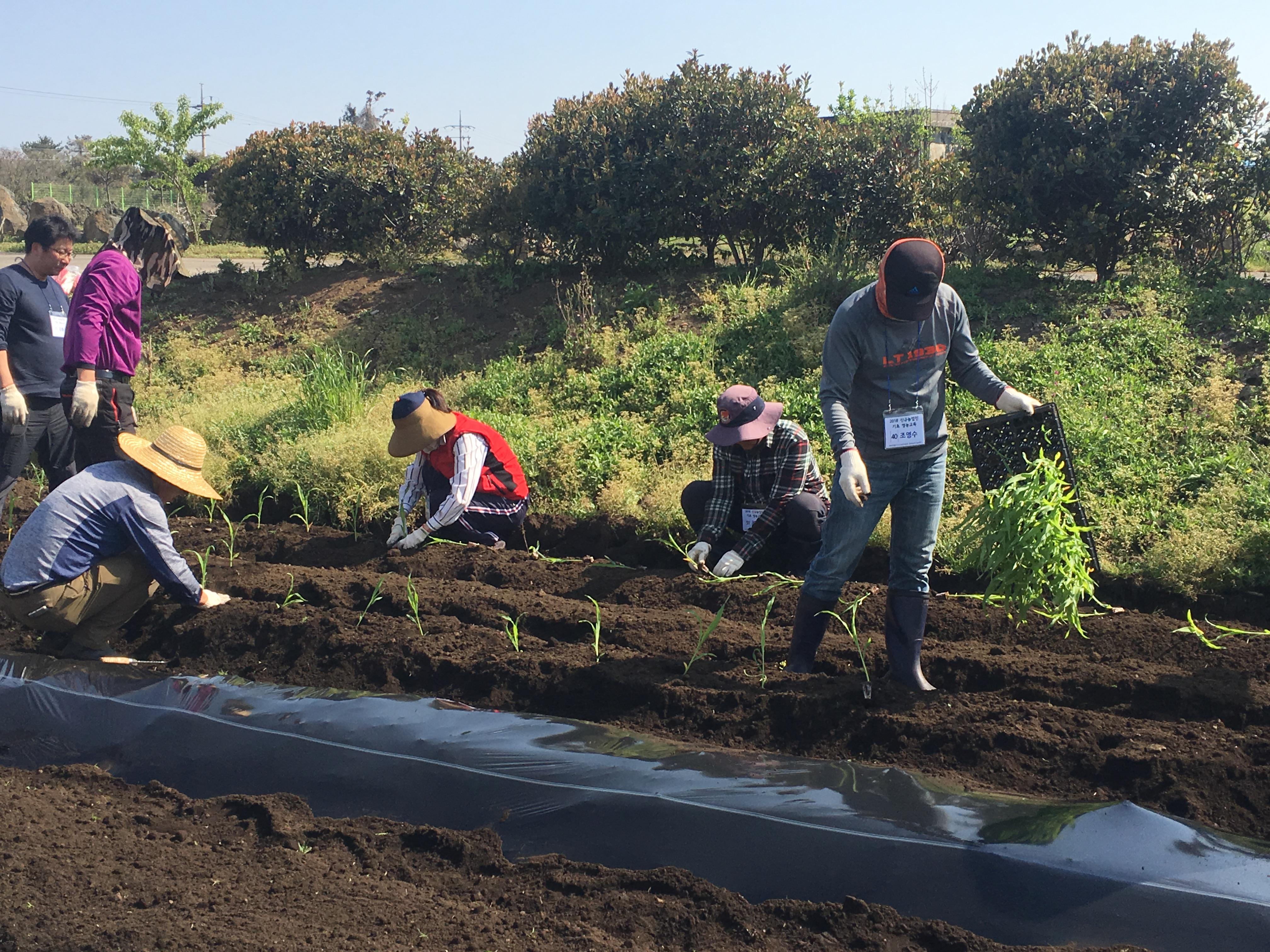 신규농업인 기초 영농교육(7회차)