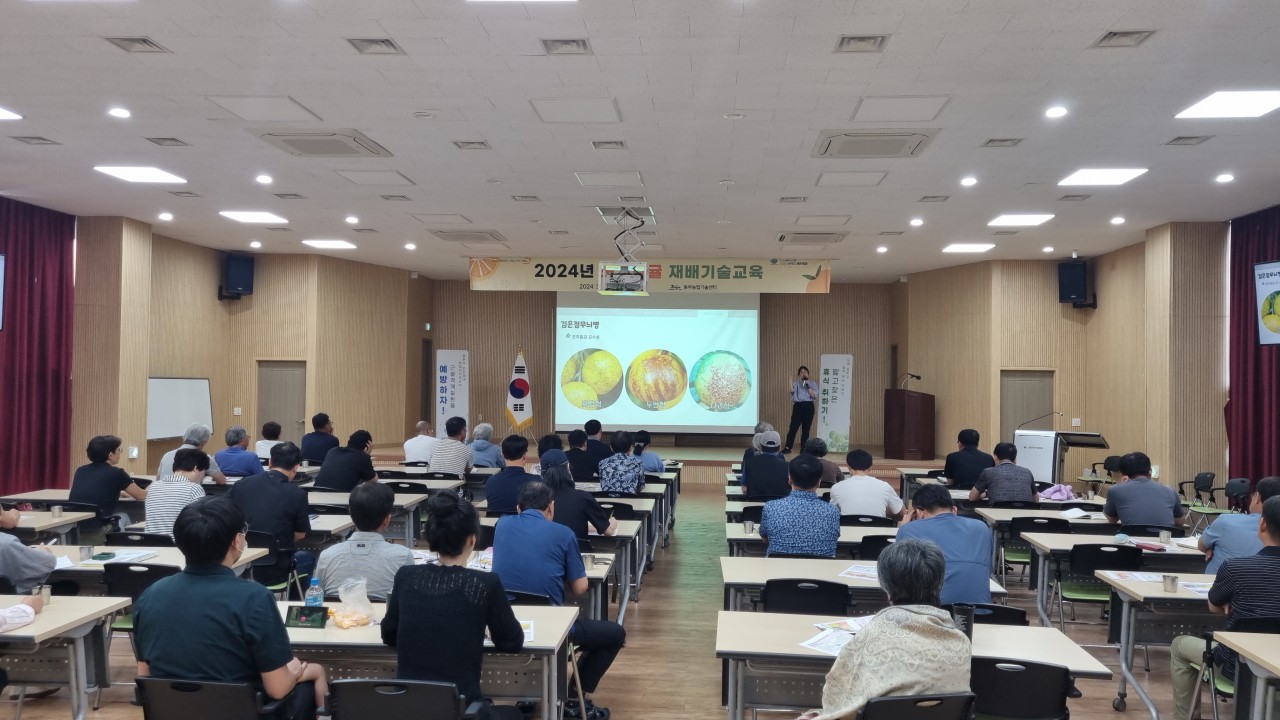 2024년 노지감귤 재배기술 교육(3회차)