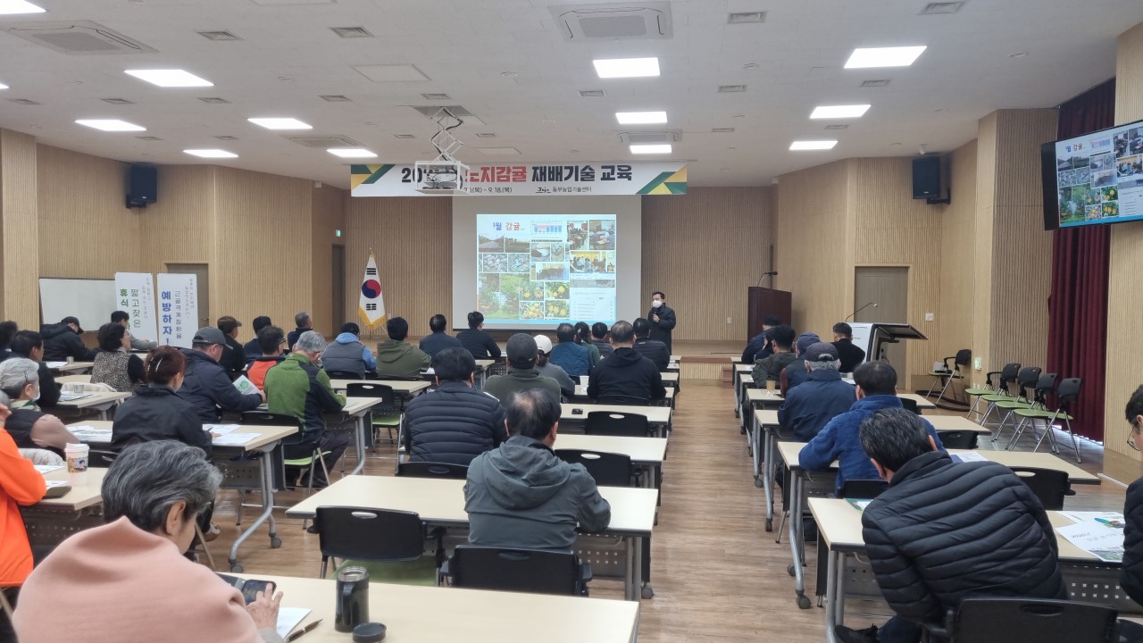 2025년 노지감귤 재배기술 교육(1회차)