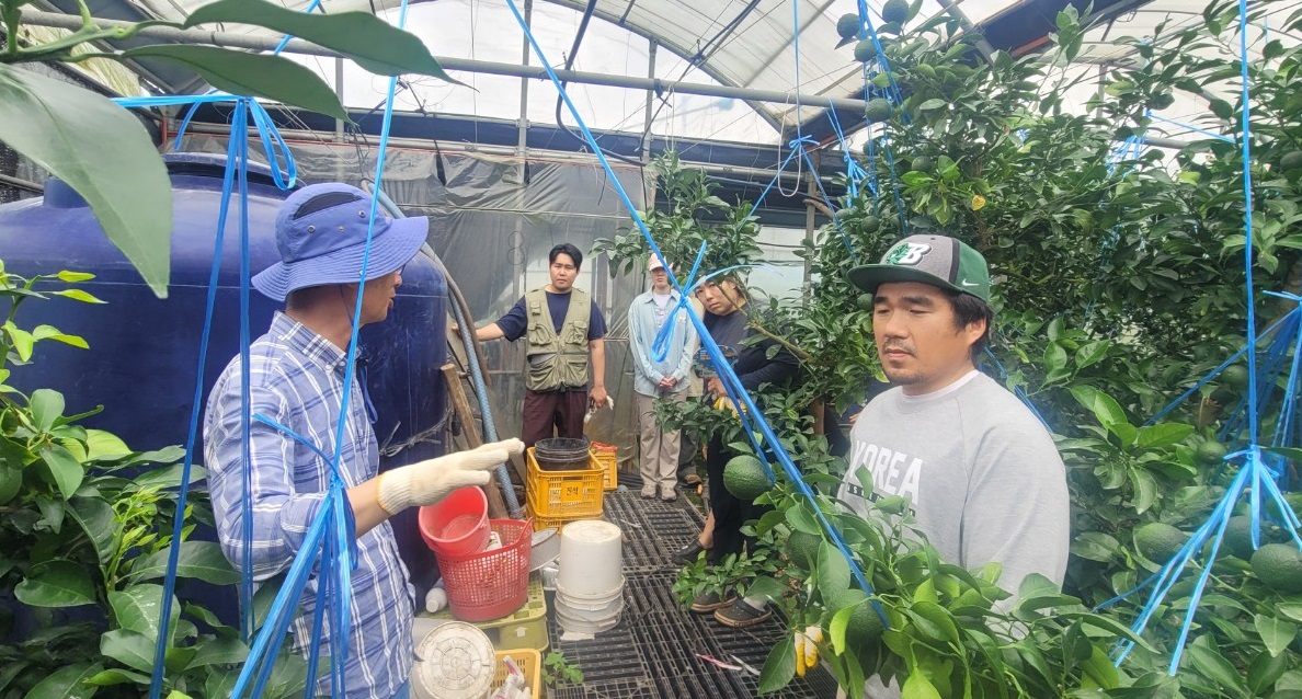 2023 청년농업인 감귤류 여름철 정지․전정  컨설팅