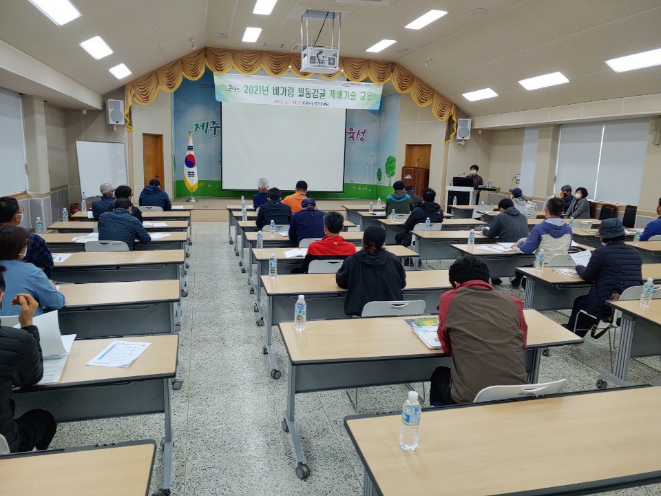 2021년 비가림 월동감귤 재배기술 교육(1회차)