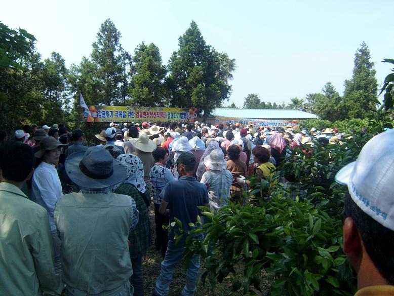 감귤 안정생산직불제 열매따기 발대식