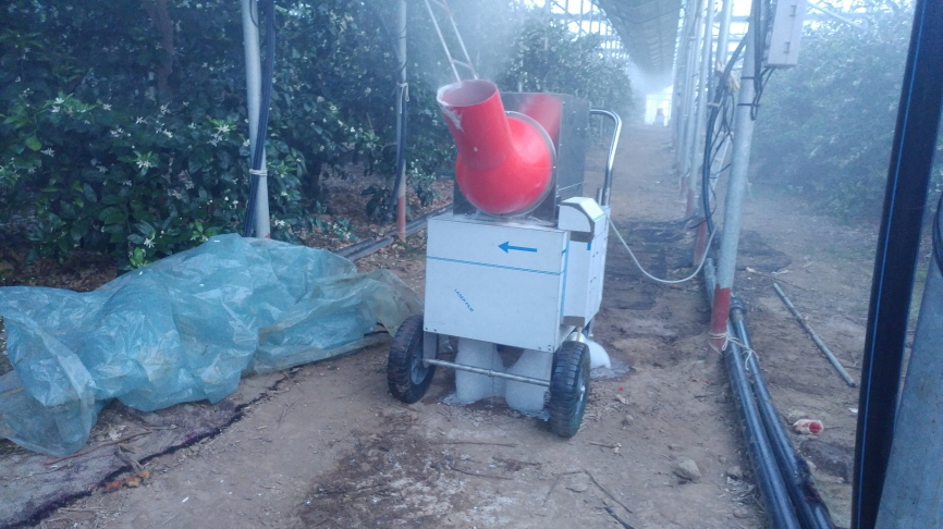 농약사용가능여부?