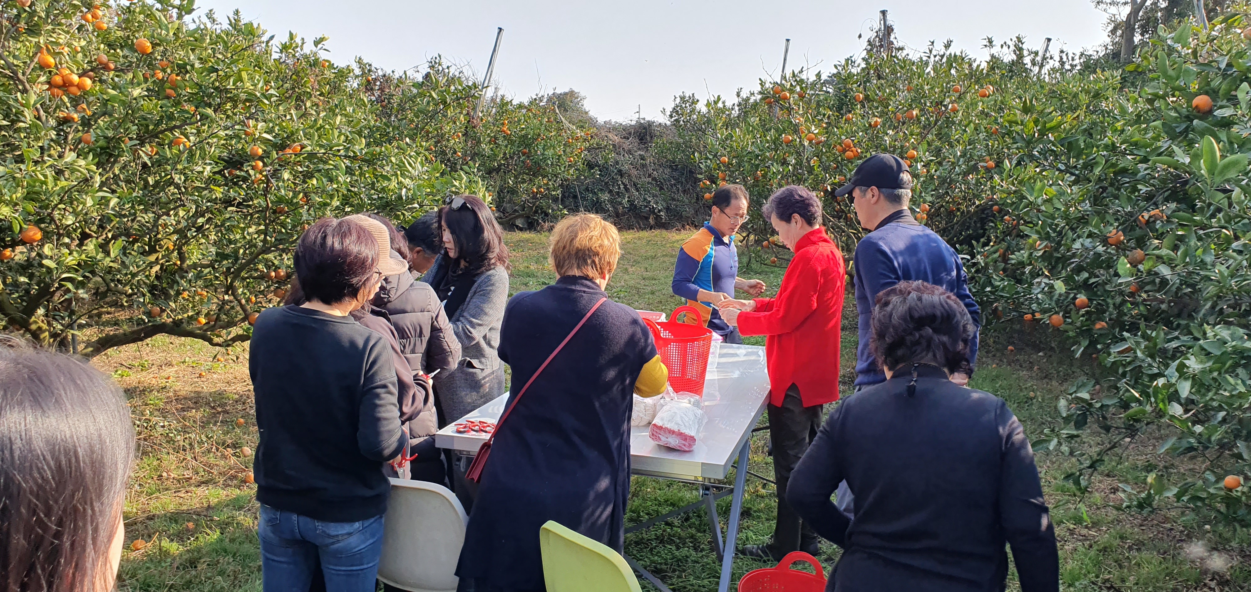 땅의 생명을 노래하는 농부와 조리명인의 맛남