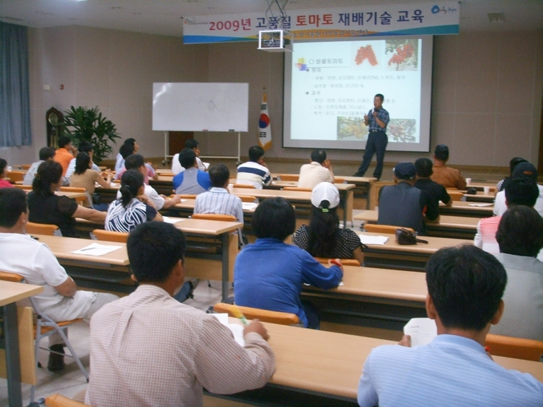 토마토재배기술교육