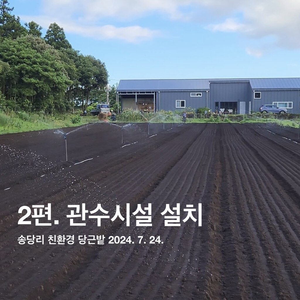 당근 파종부터 수확까지 현장에서 영상으로 배우기 _  관수시설 설치하기