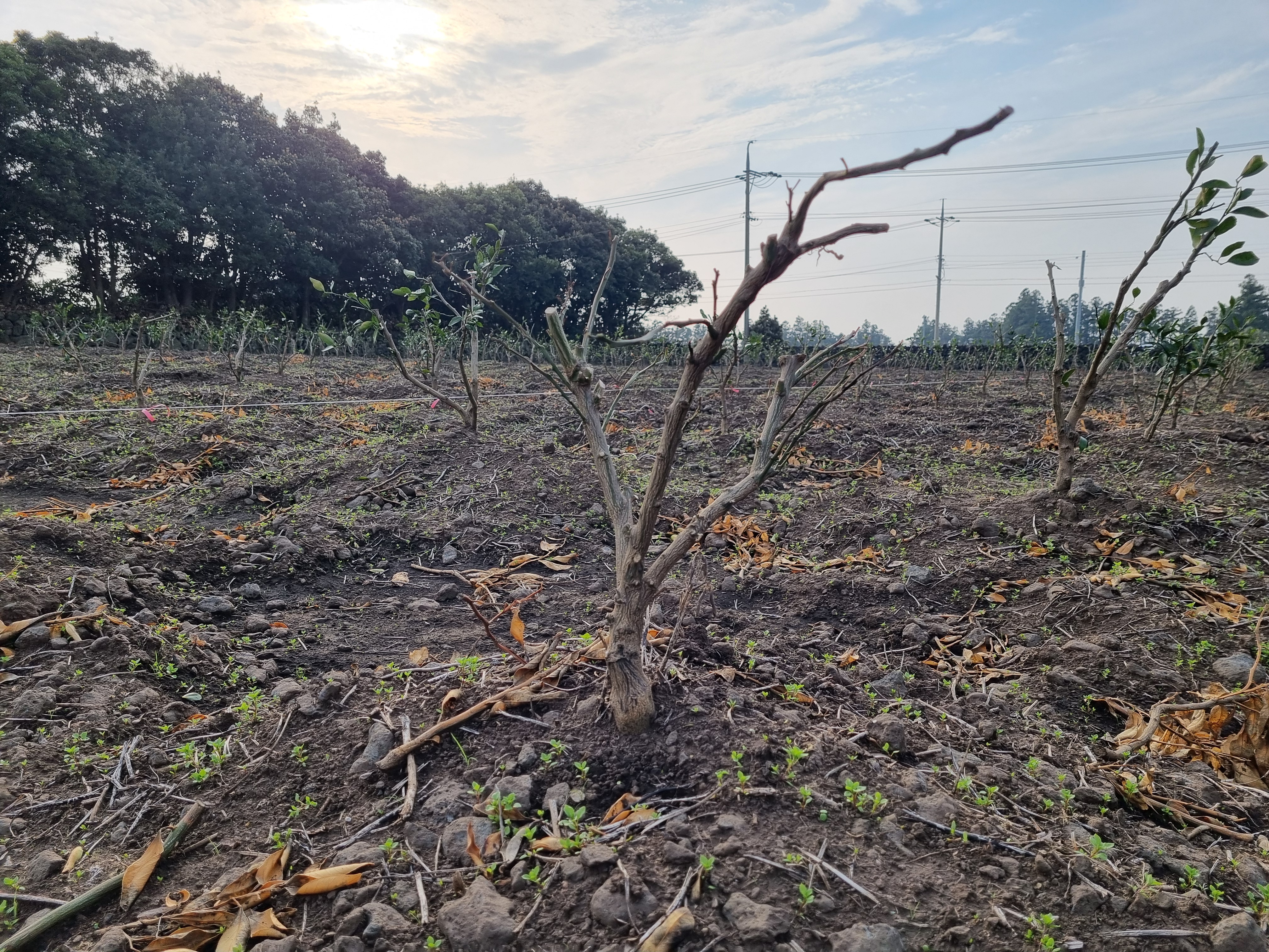 정식작업 후 발생되는 부분에서 문의드립니다.