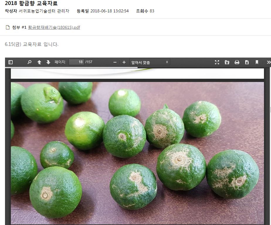 6월 황금향 교육자료중 궁금증이..