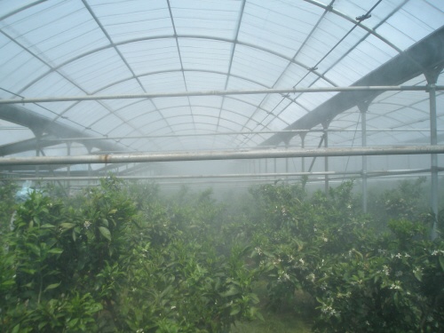 하우스 포그시설로