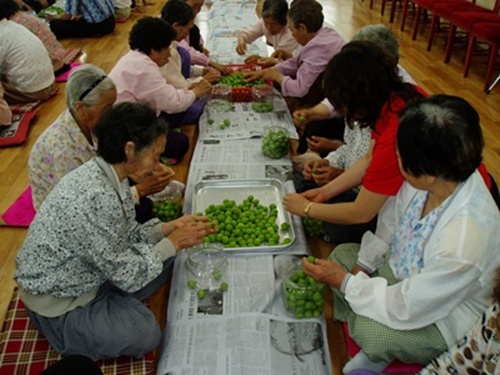 Powerful한 건강장수마을