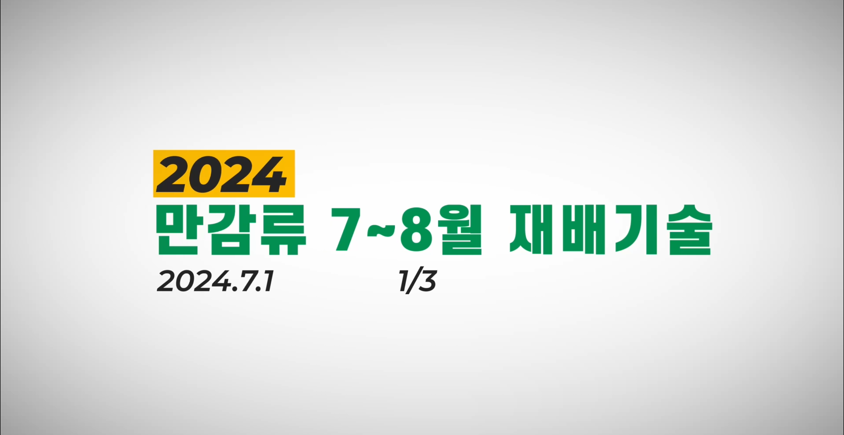 2024_만감류_0701_1