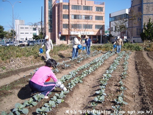 10월 정신건강센터 텃밭교실