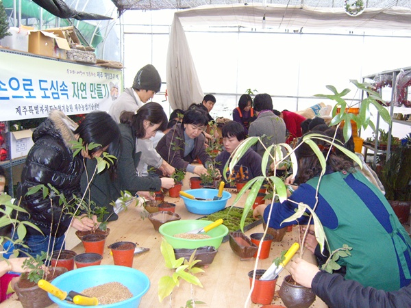 12월 텃밭교실 운영