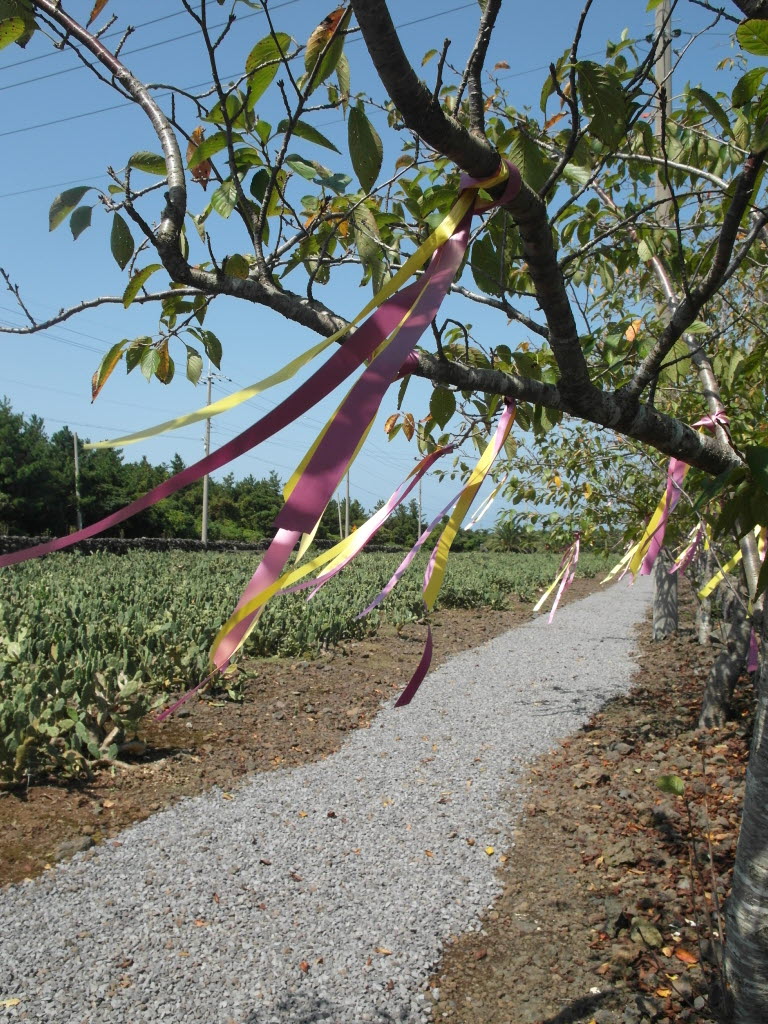 백년초 체험 페스티발