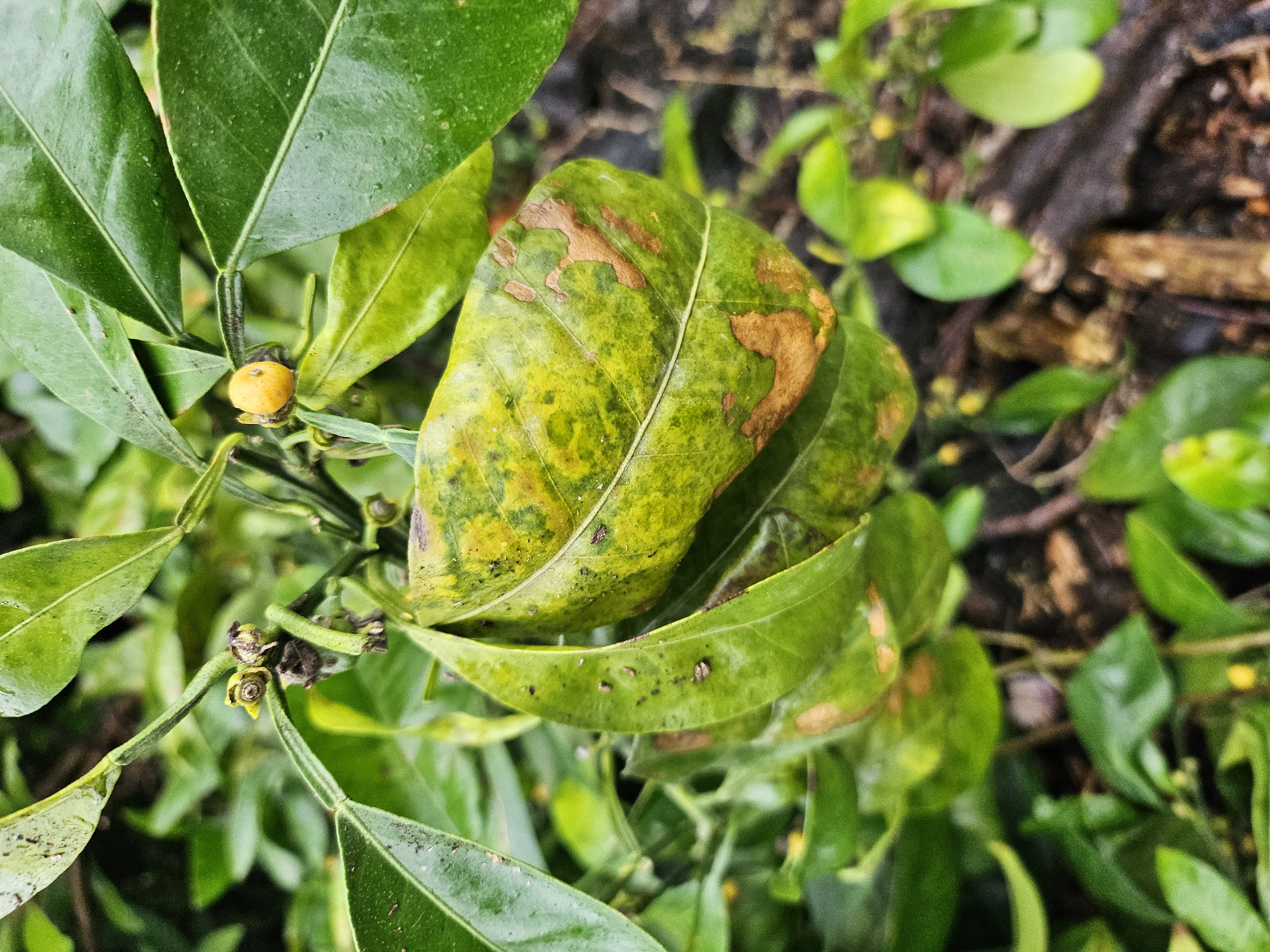 무슨 피해인지 몰라서 문의합니다.