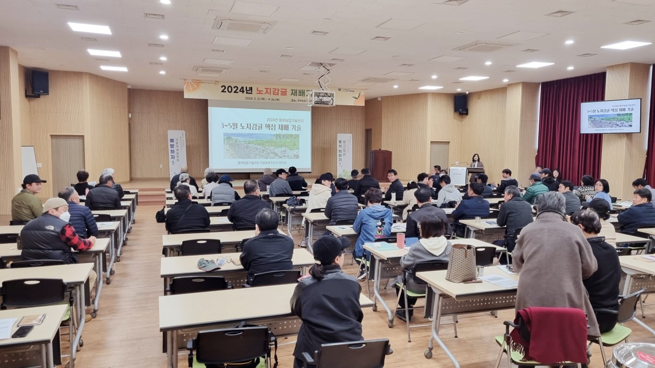 2024년 노지감귤 재배기술 교육(1회차)