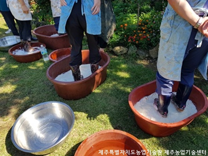 학교4-H회 지도교사 연찬회