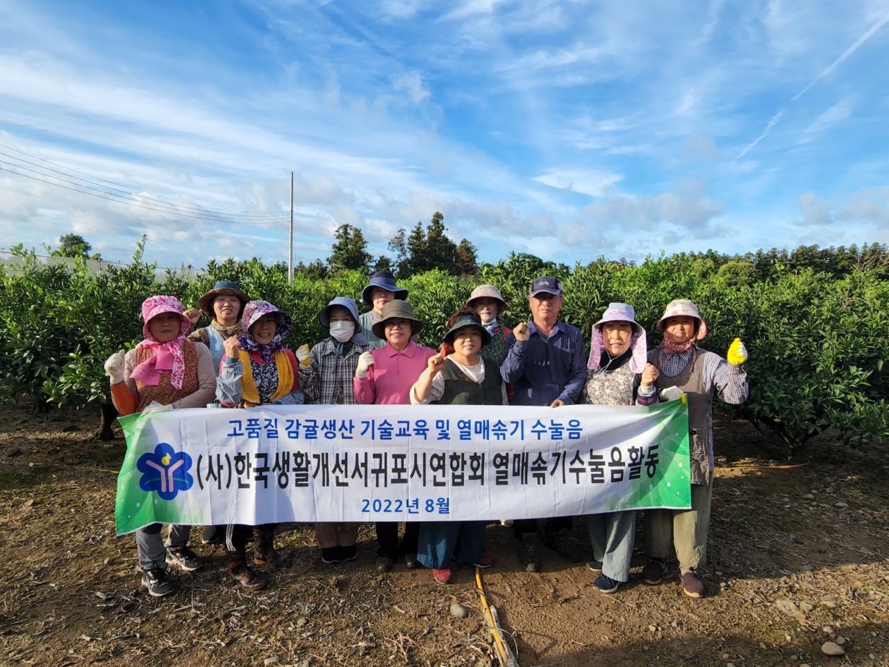 고품질감귤 안정생산을 위한 생활개선회원 열매솎기 수눌음 지도       