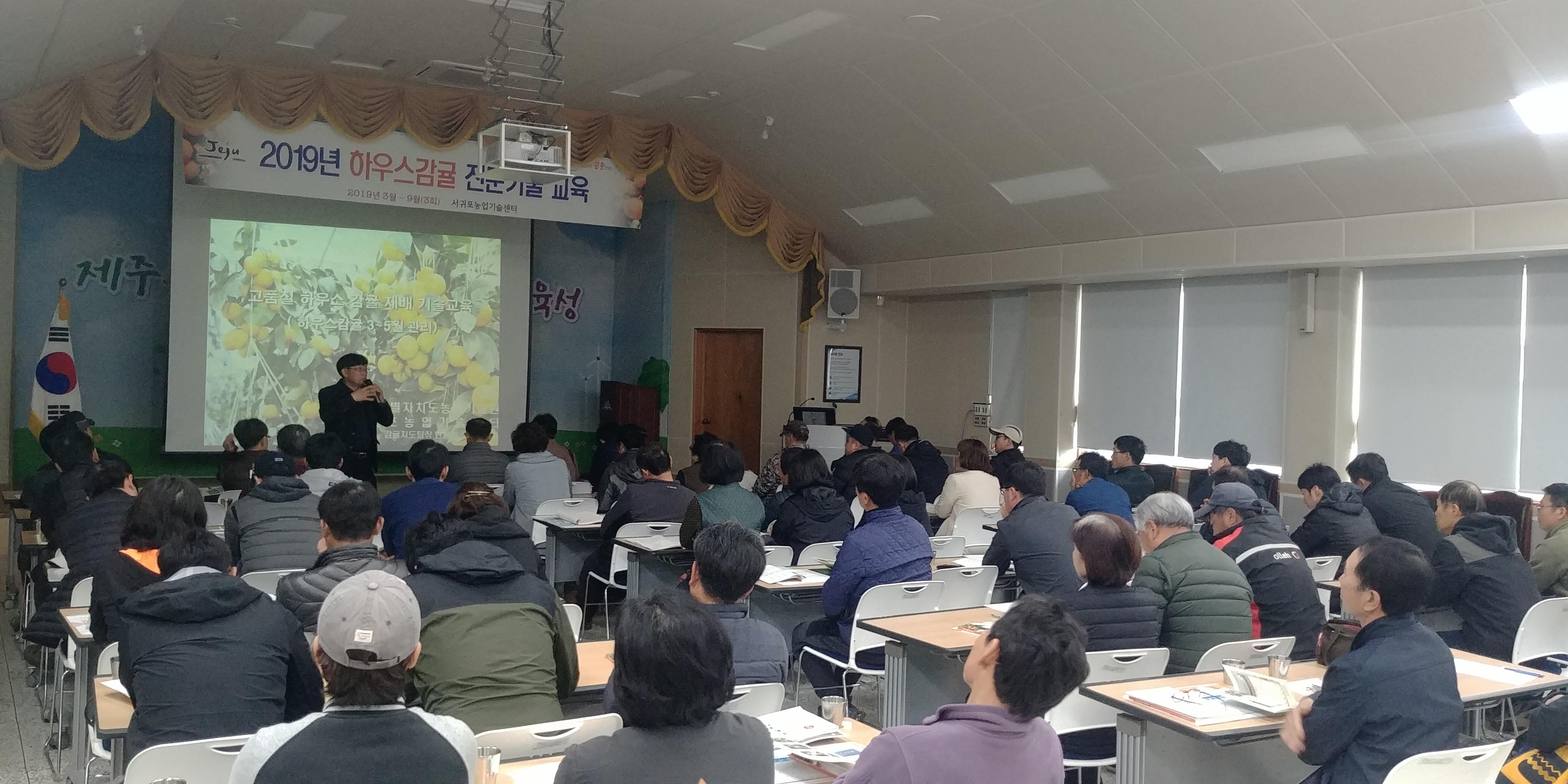 2019 하우스감귤 재배기술교육(1회차)