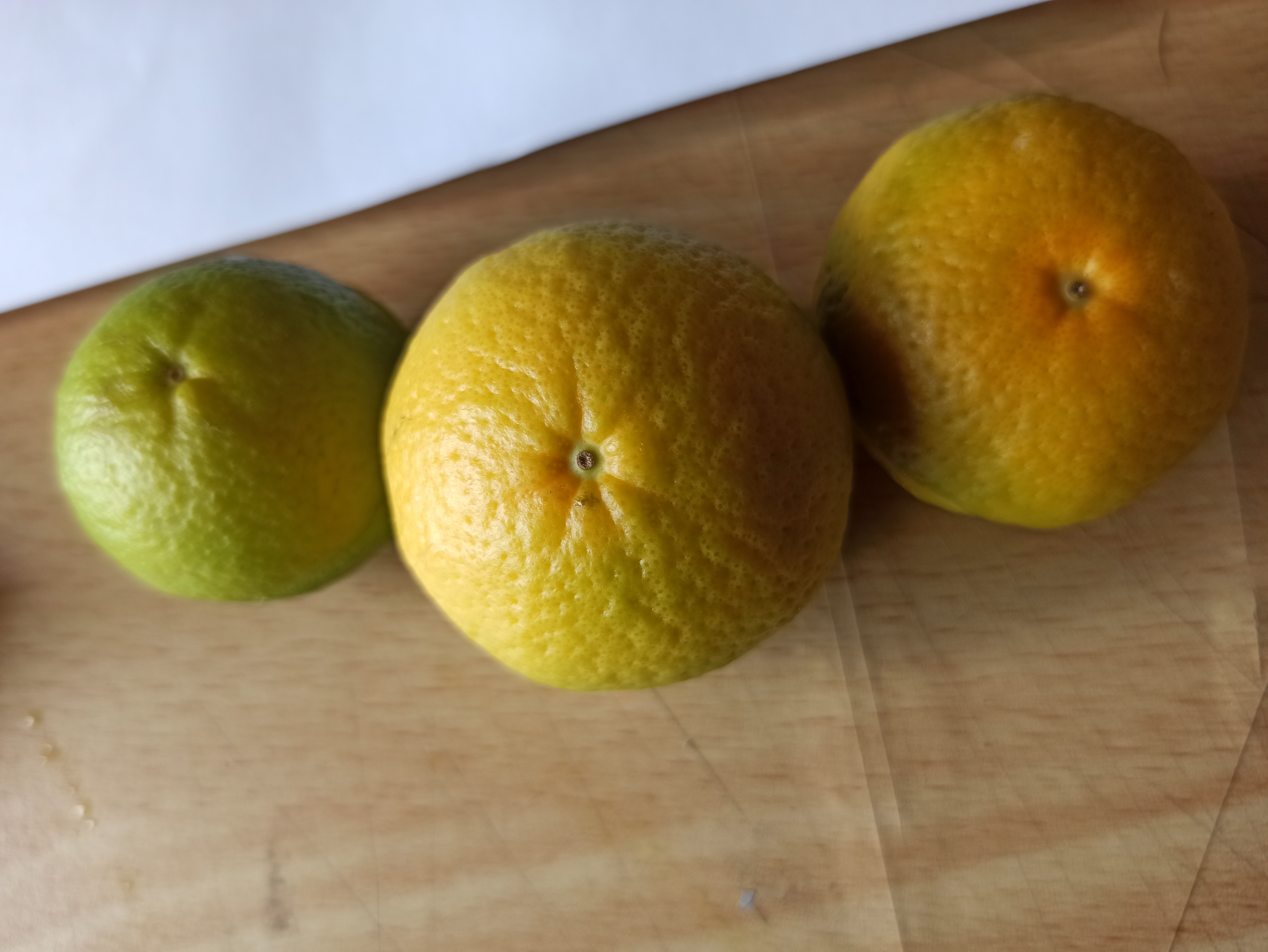 레드향 낙과 이유?