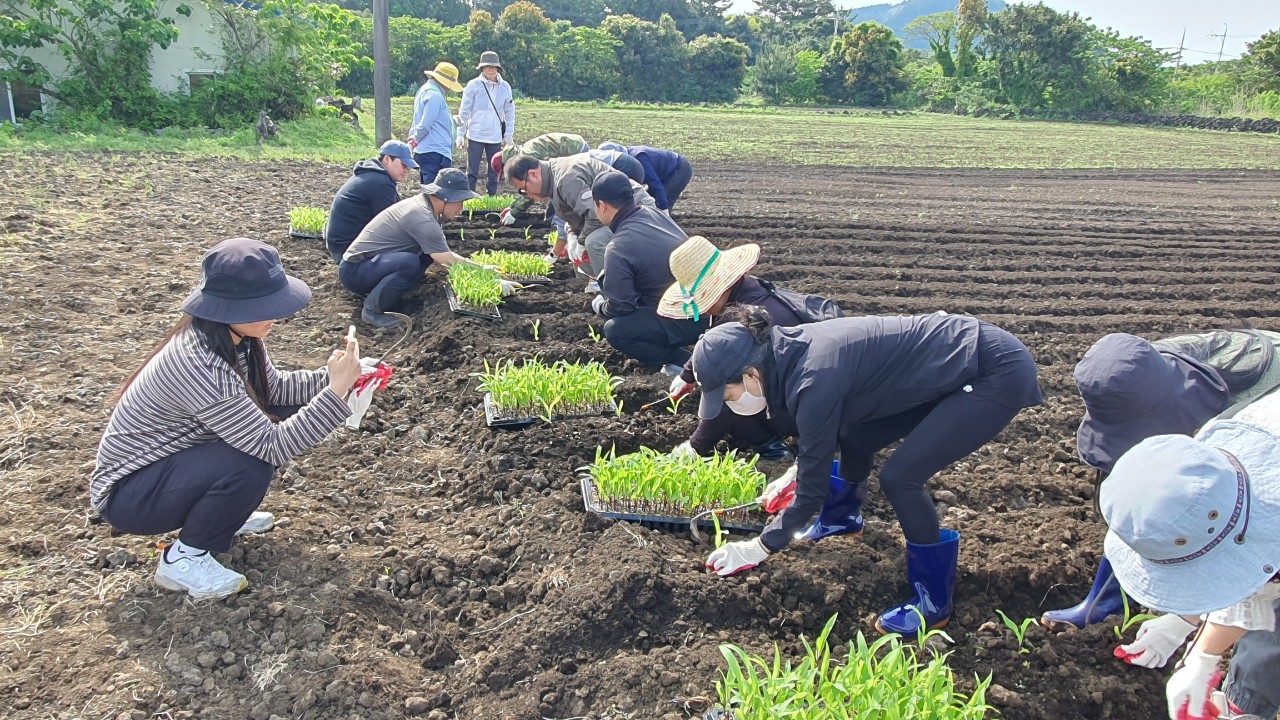 2024 신규농업인 기초영농기술교육(6회차)