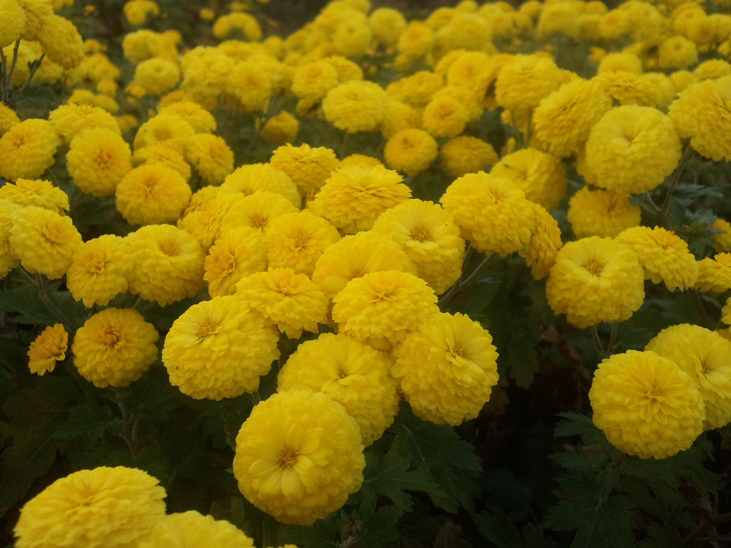 오늘의 서귀포농업기술센터