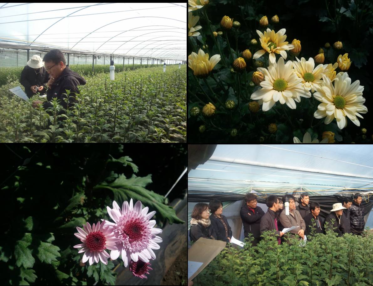 농촌지도사업 결과 평가회(2010.11.26)