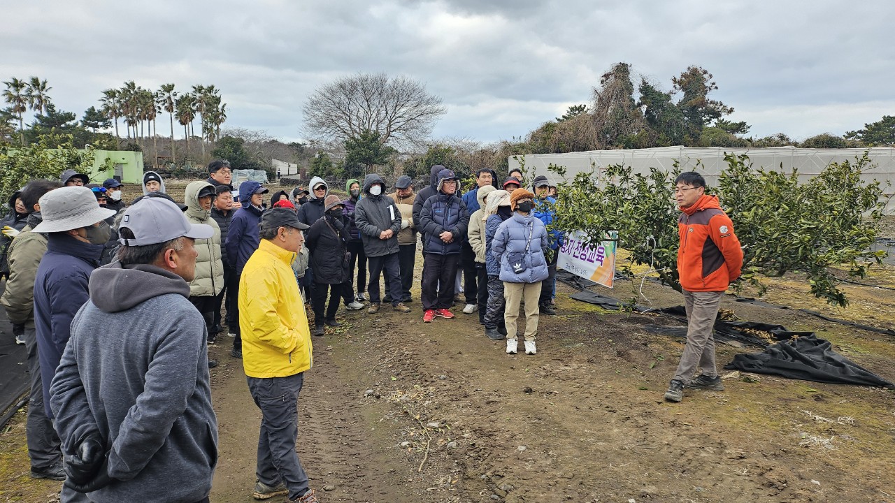 감귤류 정지전정교육(2.20 서부센터)