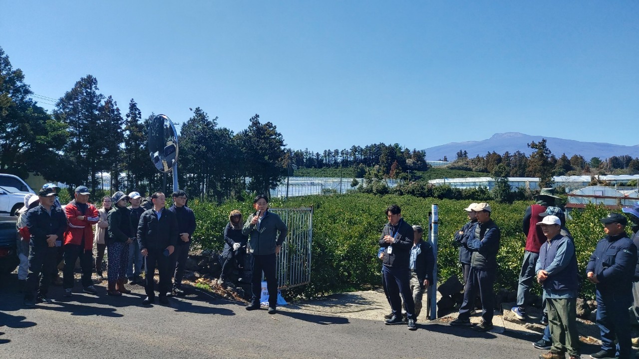 2026년 노지감귤 정지전정 교육(위미농협) 