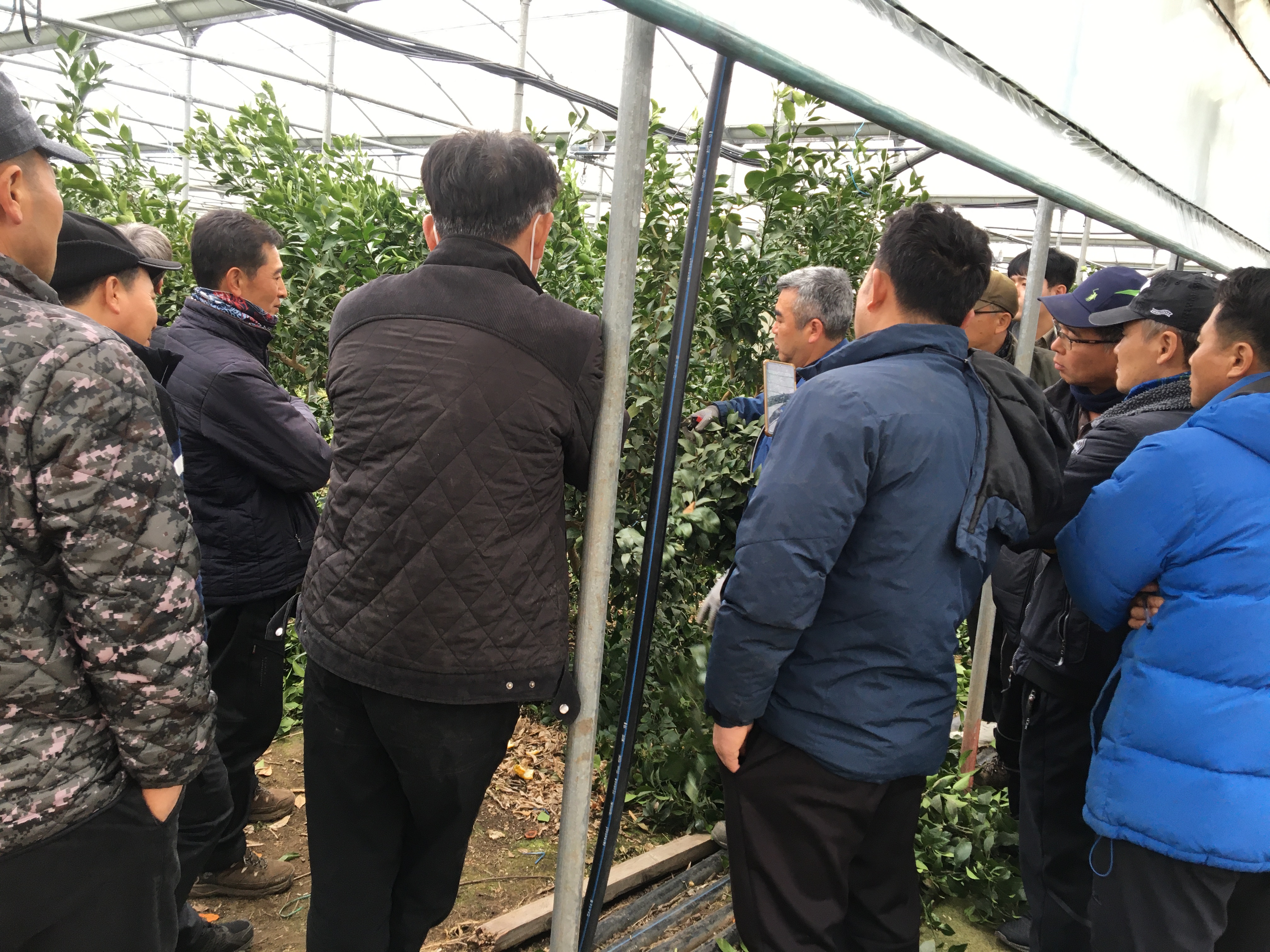 만감류 정지·전정교육