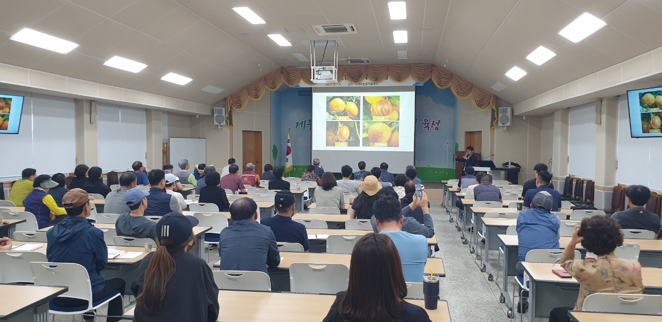 2024년 감귤분야 핵심기술교육(만감류 II반: 레드향, 황금향 중점)