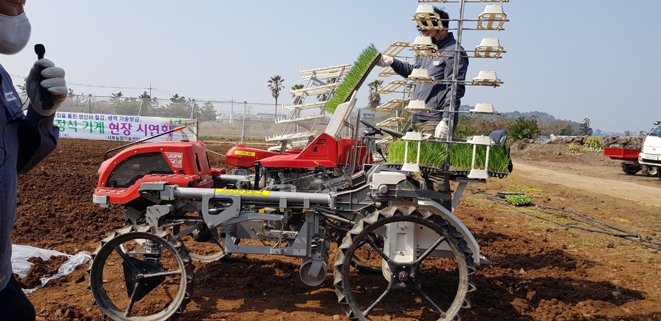 원예작물 정식 기계 현장 시연회 