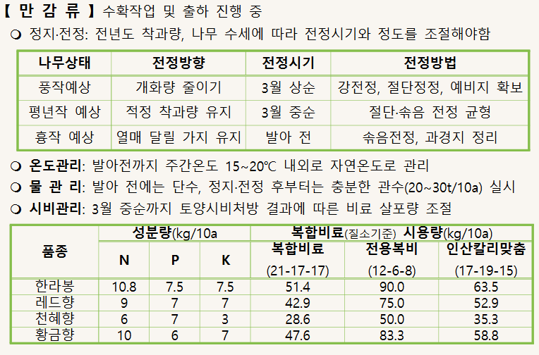 발아 후 천혜향 관수량 문의드립니다.
