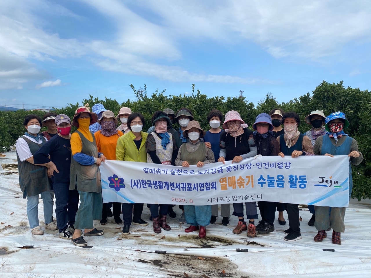 고품질감귤 안정생산을 위한 생활개선회원 열매솎기 수눌음 지도