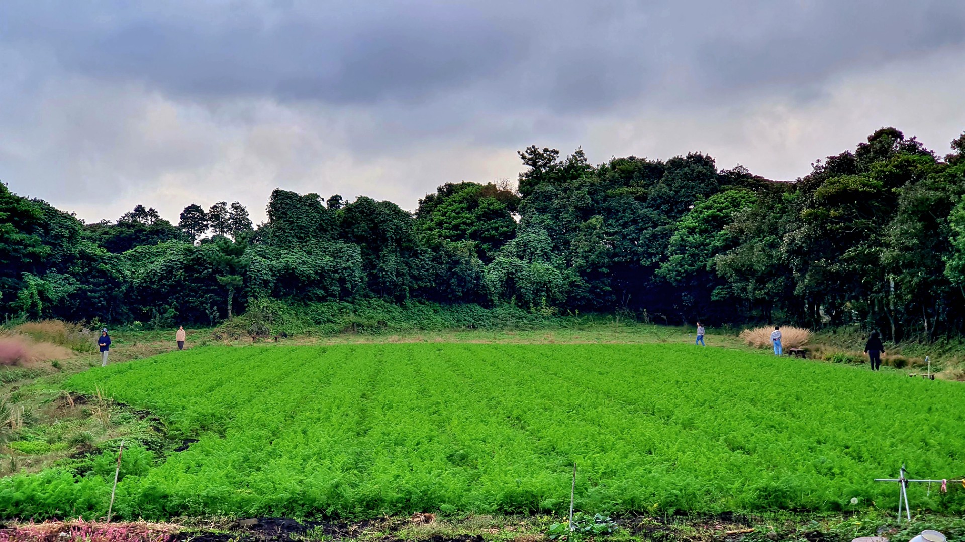 농촌융복합사업장 홍보 체험 프로그램 운영_제주농부여행