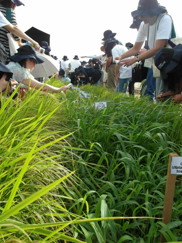 제6회 국제도열병 학회