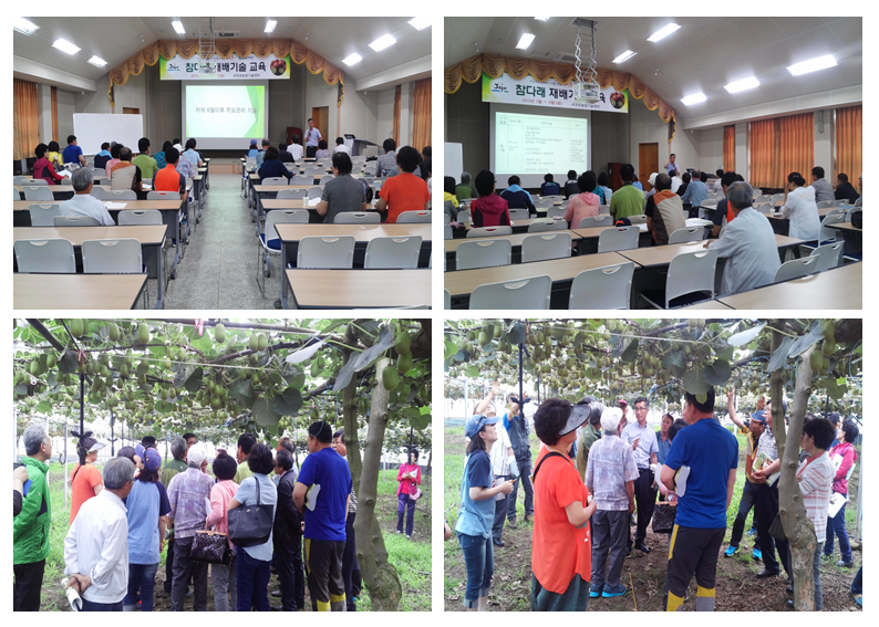 참다래 재배기술 교육