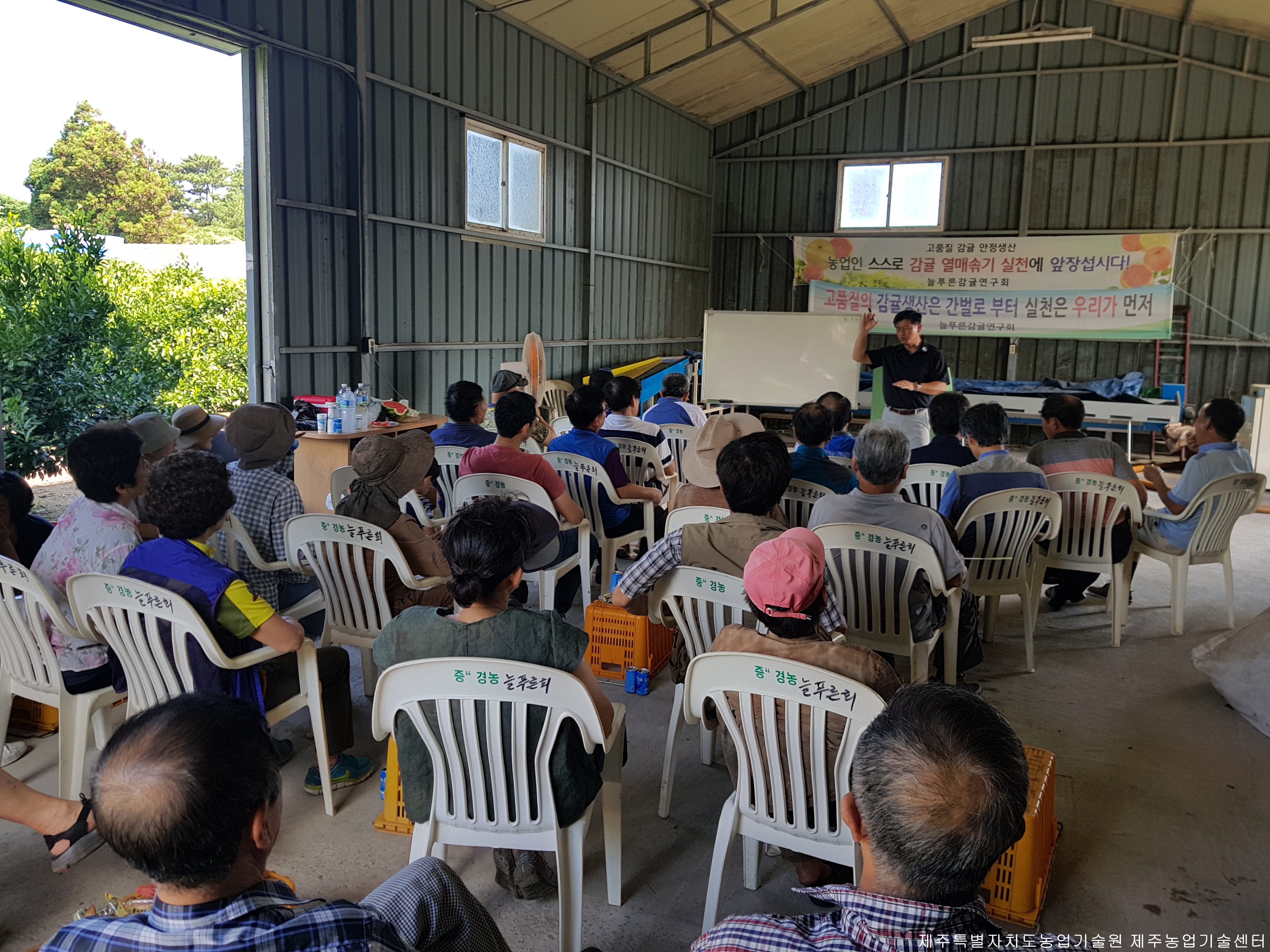 늘푸른감귤연구회 여름전정교육