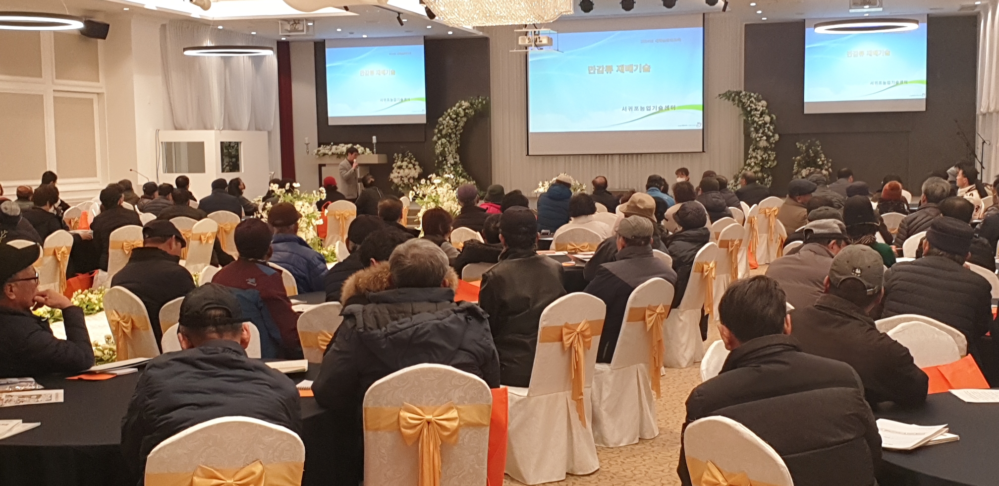 2024 새해농업인 실용교육(서귀포농협, 만감류)