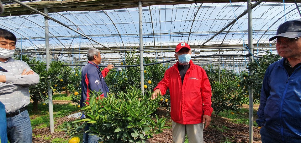 한경농협 만감류 공선회 컨설팅