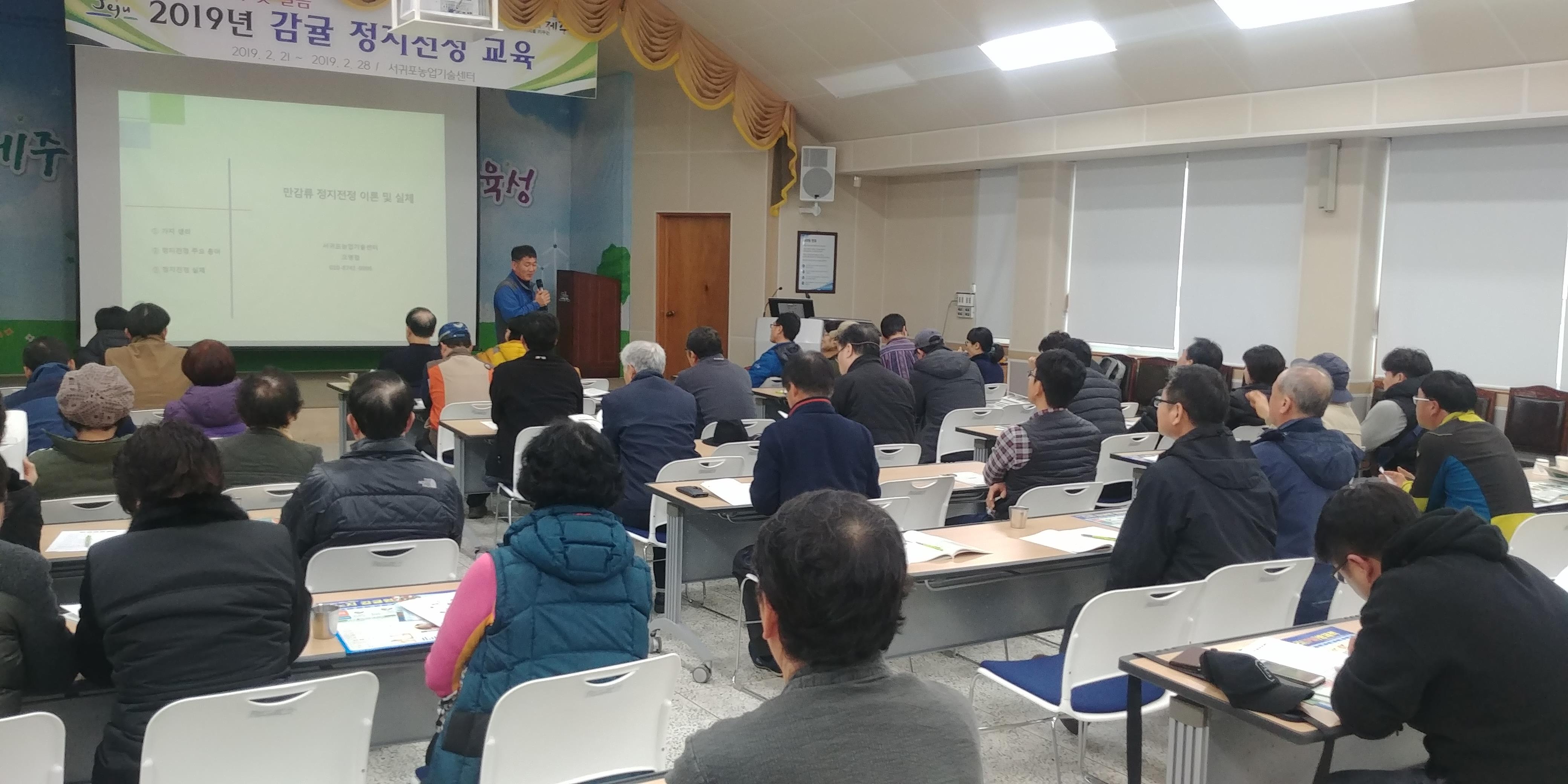 2019 천혜향 정지전정교육