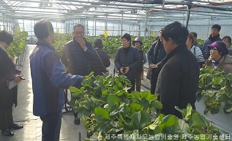 백록담딸기연구회 역량강화 현장교육