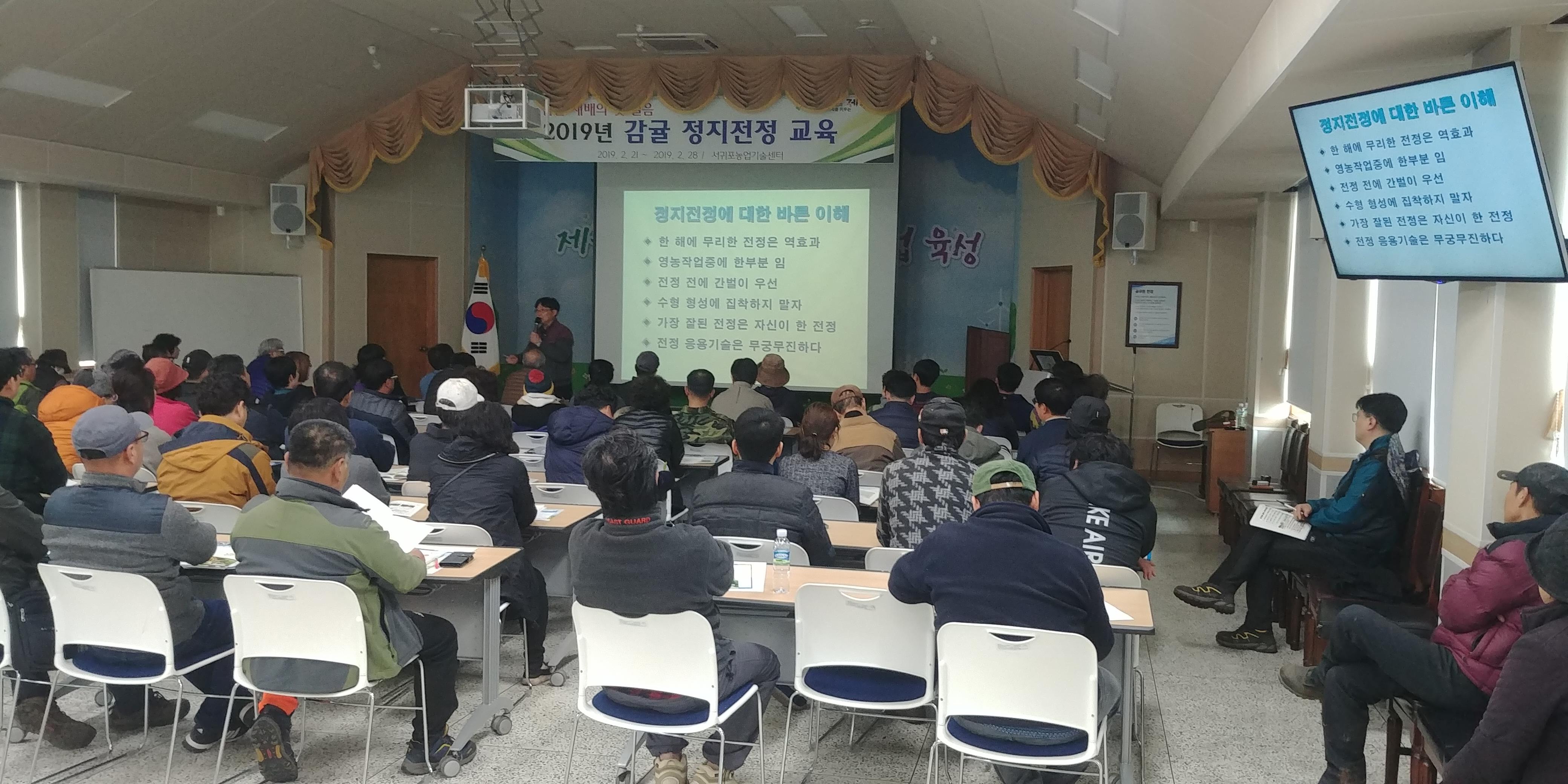 2019 노지감귤 정지전정교육