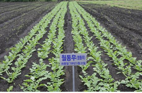 여름철 농업인 교육