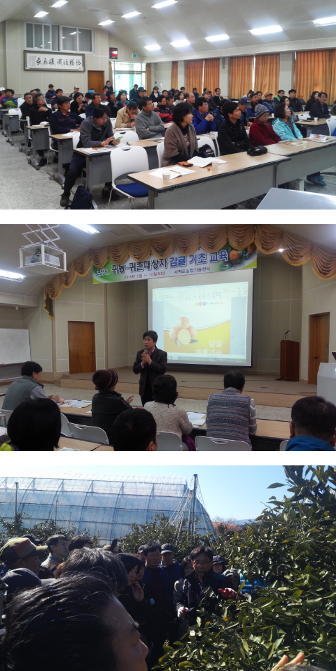 감귤기초(귀농귀촌) 교육