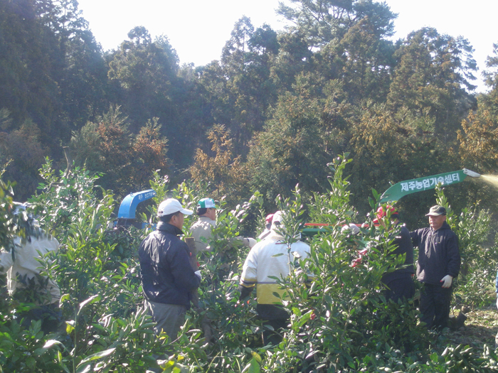 1/2 간벌 봉사활동1